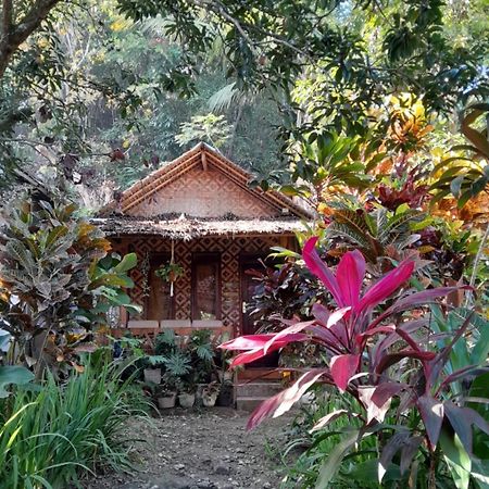Anik Homestay & Dormy Batukaras Exterior foto